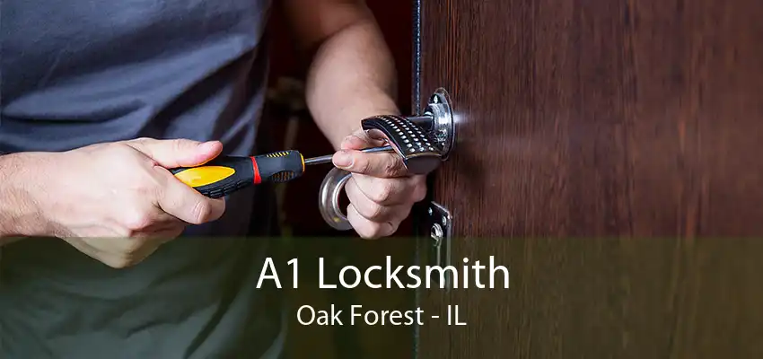 A1 Locksmith Oak Forest - IL