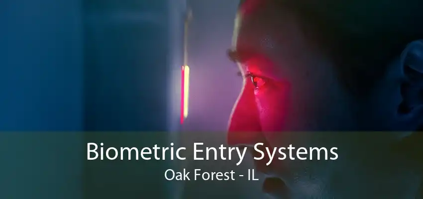 Biometric Entry Systems Oak Forest - IL