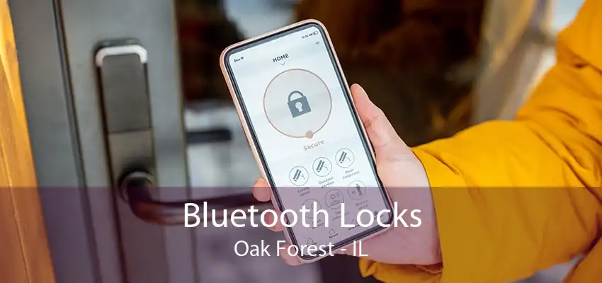 Bluetooth Locks Oak Forest - IL