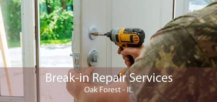 Break-in Repair Services Oak Forest - IL