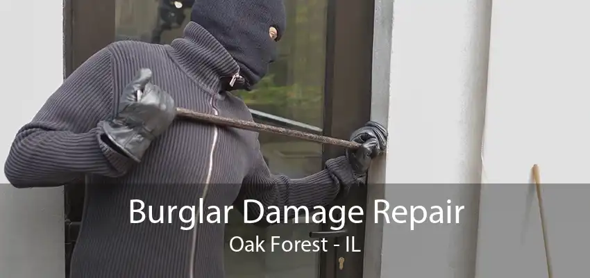 Burglar Damage Repair Oak Forest - IL