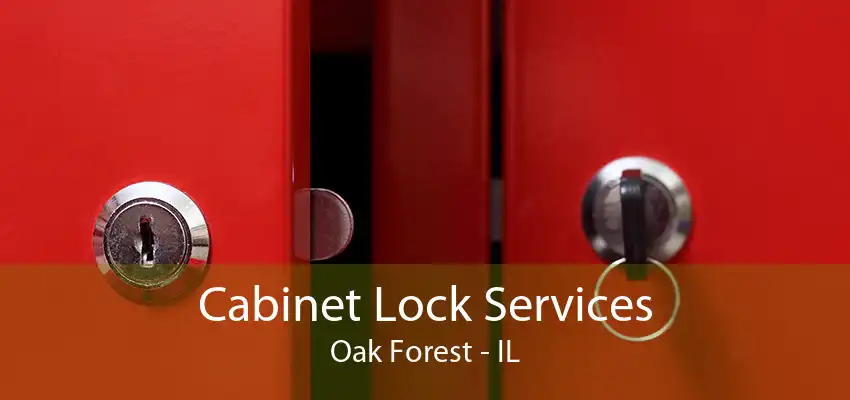 Cabinet Lock Services Oak Forest - IL