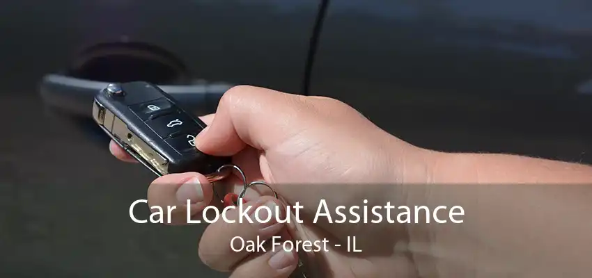 Car Lockout Assistance Oak Forest - IL