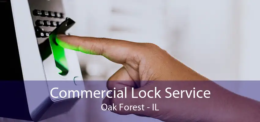 Commercial Lock Service Oak Forest - IL