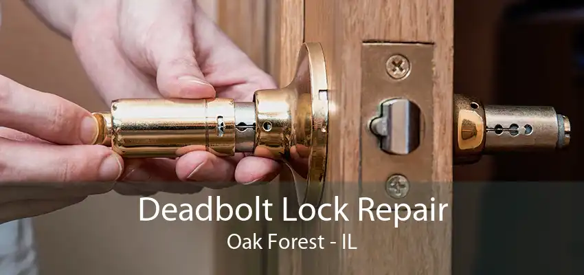 Deadbolt Lock Repair Oak Forest - IL