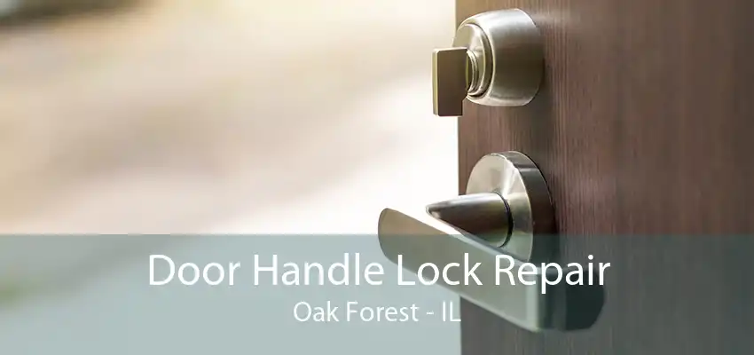 Door Handle Lock Repair Oak Forest - IL