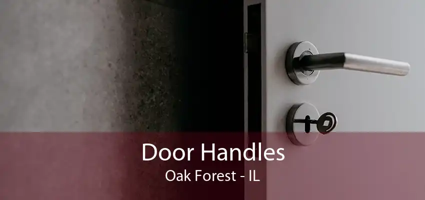 Door Handles Oak Forest - IL