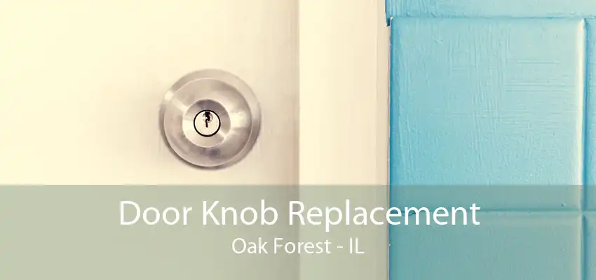 Door Knob Replacement Oak Forest - IL