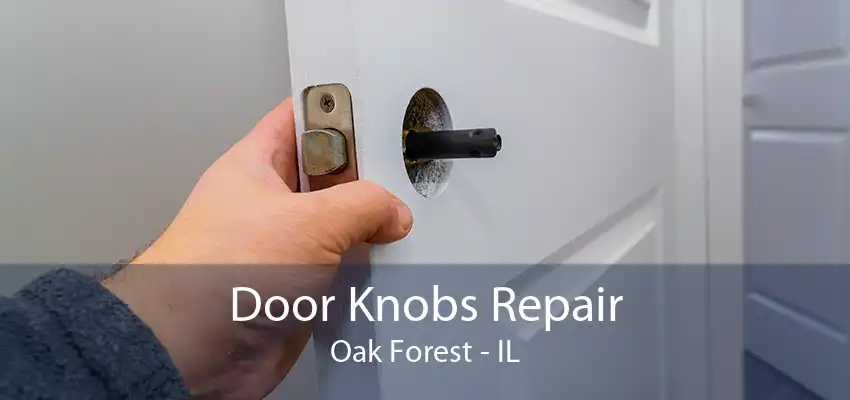 Door Knobs Repair Oak Forest - IL