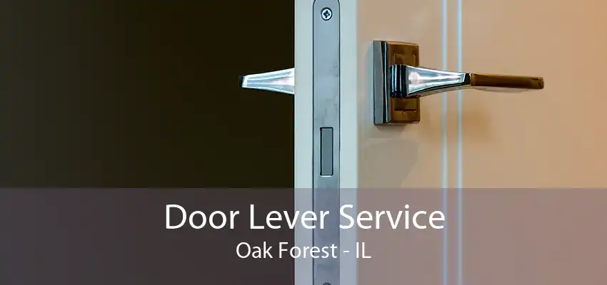 Door Lever Service Oak Forest - IL