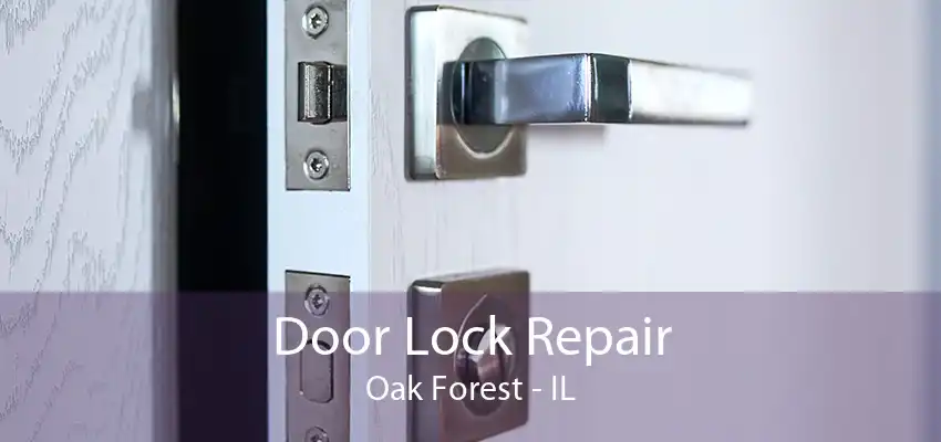 Door Lock Repair Oak Forest - IL