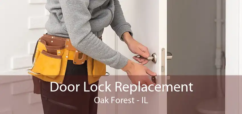 Door Lock Replacement Oak Forest - IL