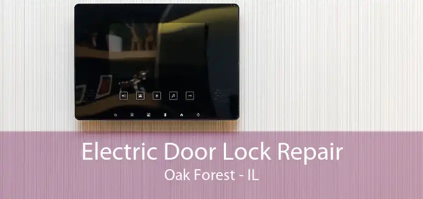 Electric Door Lock Repair Oak Forest - IL