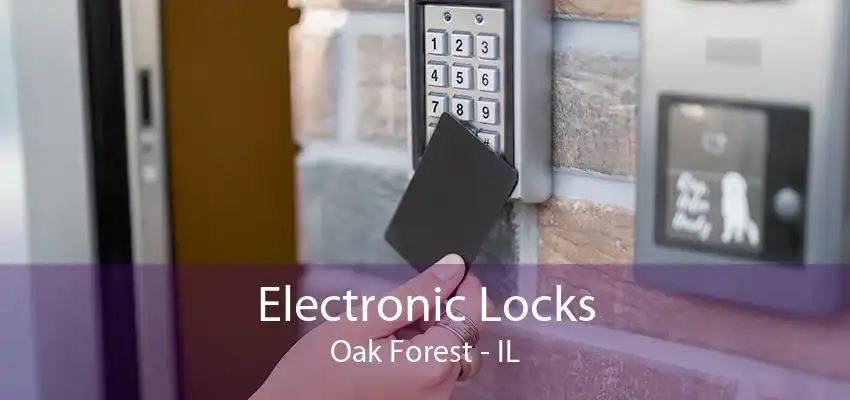 Electronic Locks Oak Forest - IL