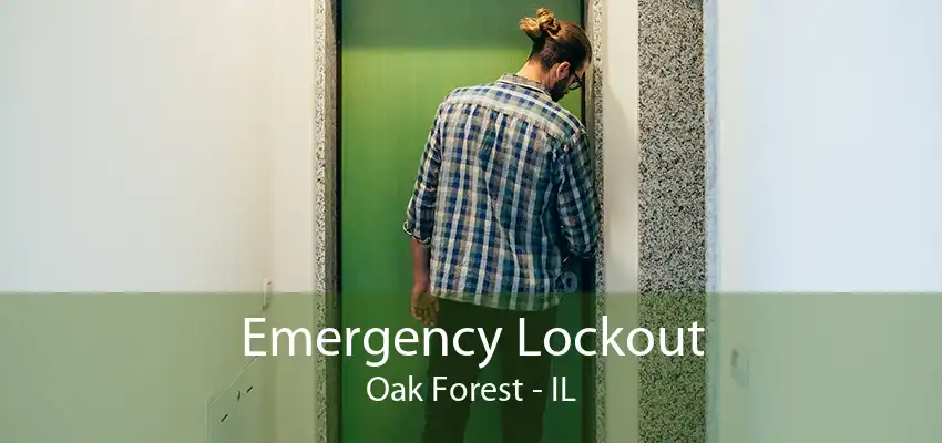 Emergency Lockout Oak Forest - IL