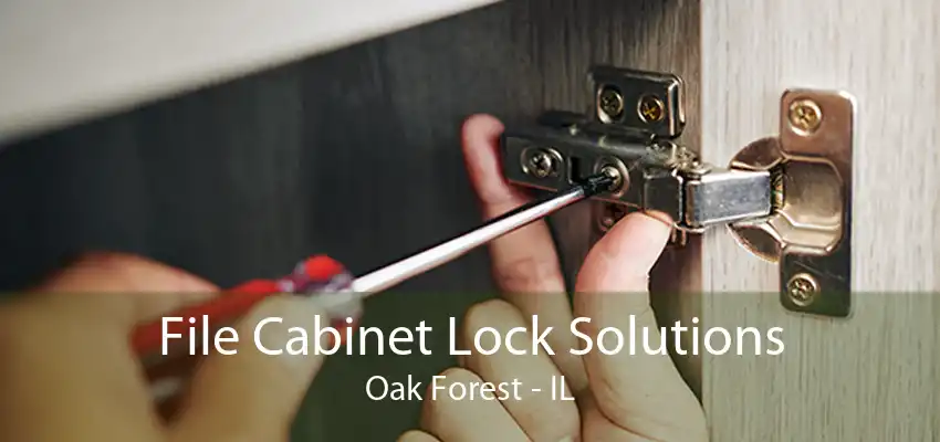 File Cabinet Lock Solutions Oak Forest - IL