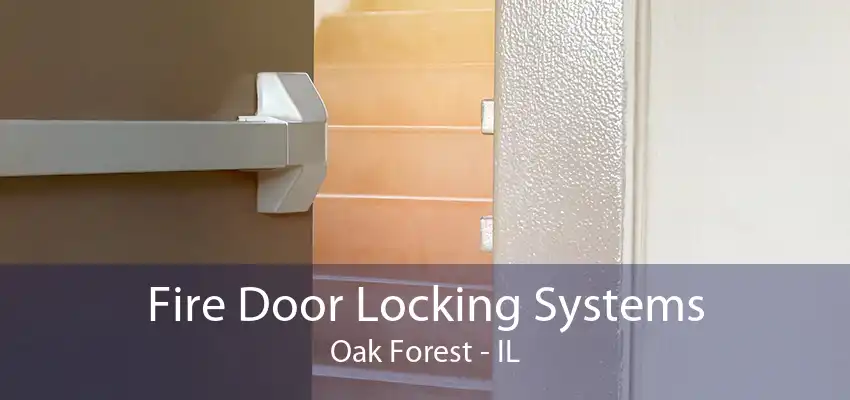 Fire Door Locking Systems Oak Forest - IL