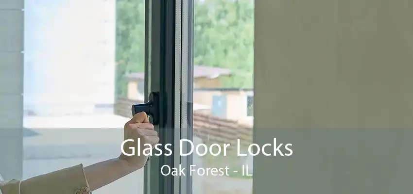 Glass Door Locks Oak Forest - IL