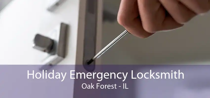 Holiday Emergency Locksmith Oak Forest - IL