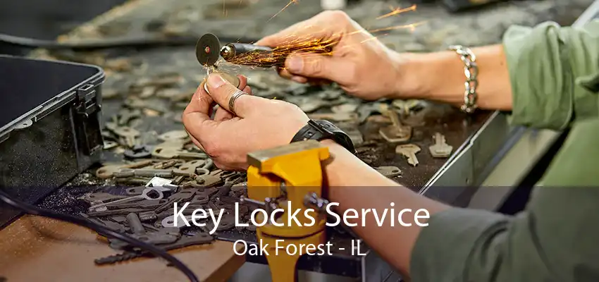 Key Locks Service Oak Forest - IL