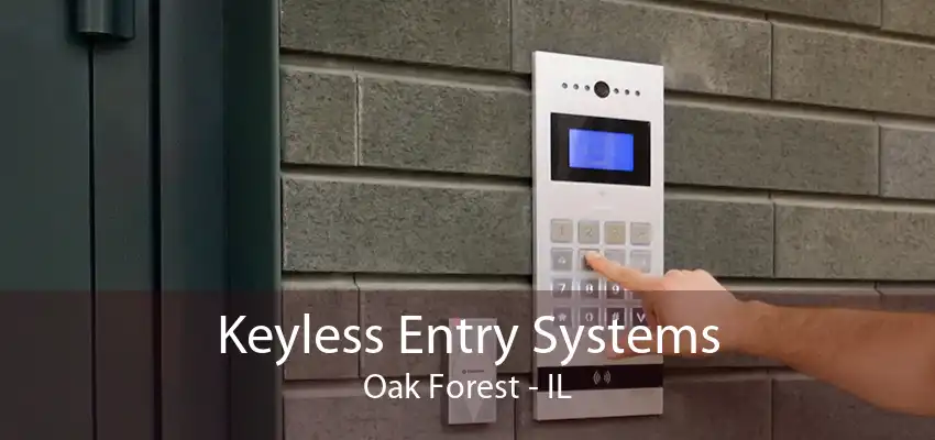 Keyless Entry Systems Oak Forest - IL