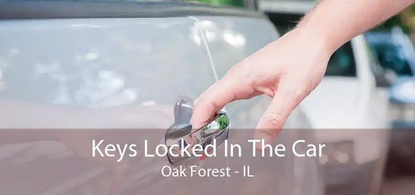 Keys Locked In The Car Oak Forest - IL