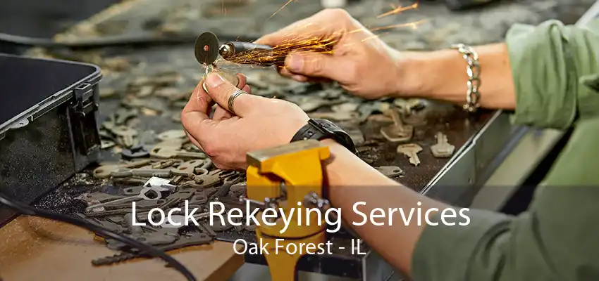 Lock Rekeying Services Oak Forest - IL