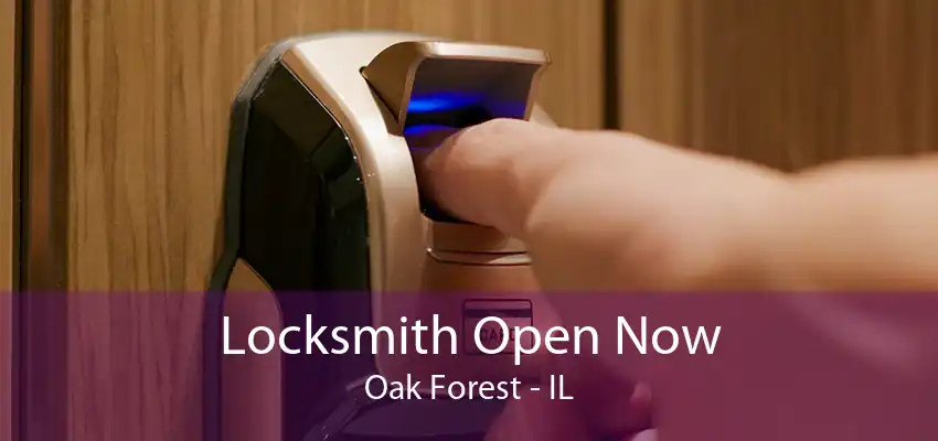 Locksmith Open Now Oak Forest - IL