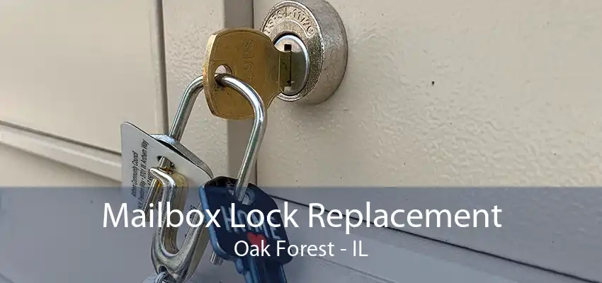 Mailbox Lock Replacement Oak Forest - IL