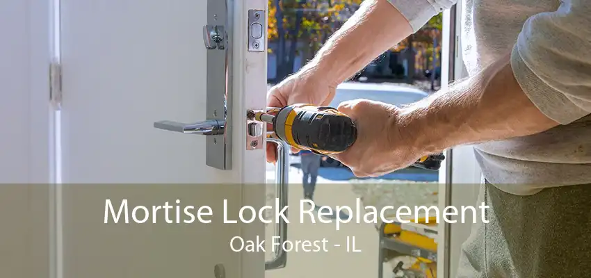 Mortise Lock Replacement Oak Forest - IL