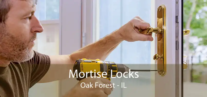 Mortise Locks Oak Forest - IL