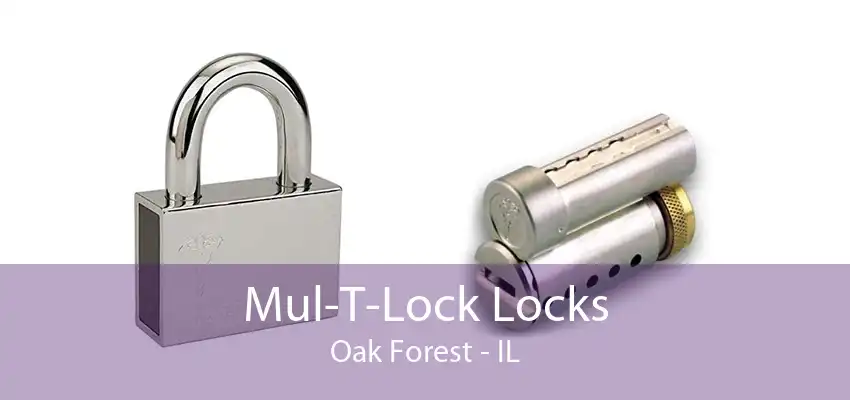 Mul-T-Lock Locks Oak Forest - IL