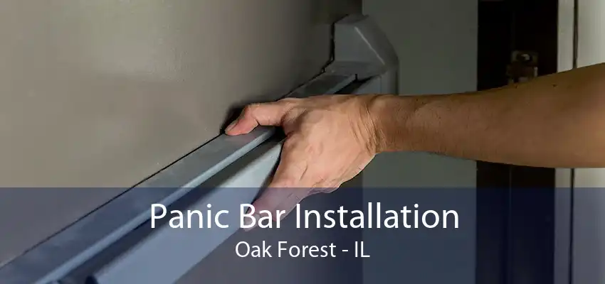 Panic Bar Installation Oak Forest - IL