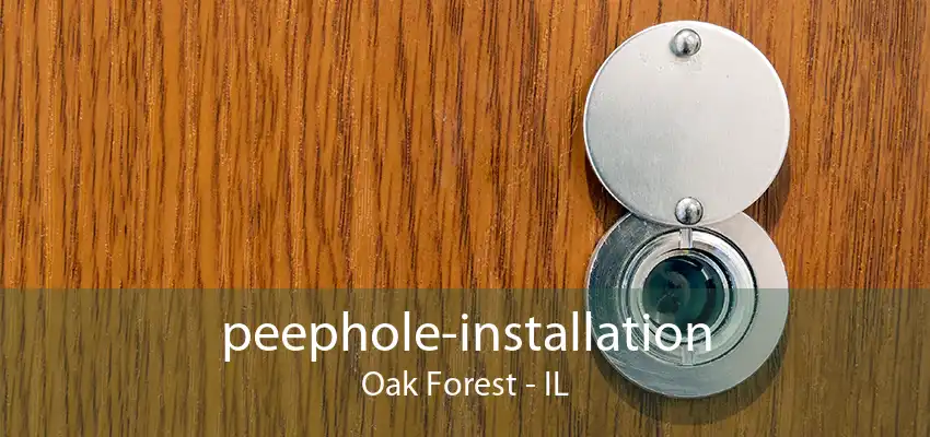 peephole-installation Oak Forest - IL