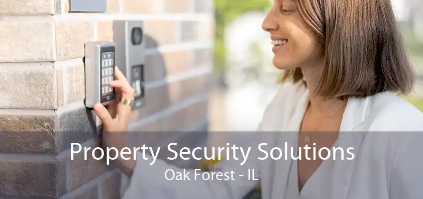 Property Security Solutions Oak Forest - IL