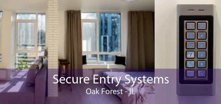 Secure Entry Systems Oak Forest - IL