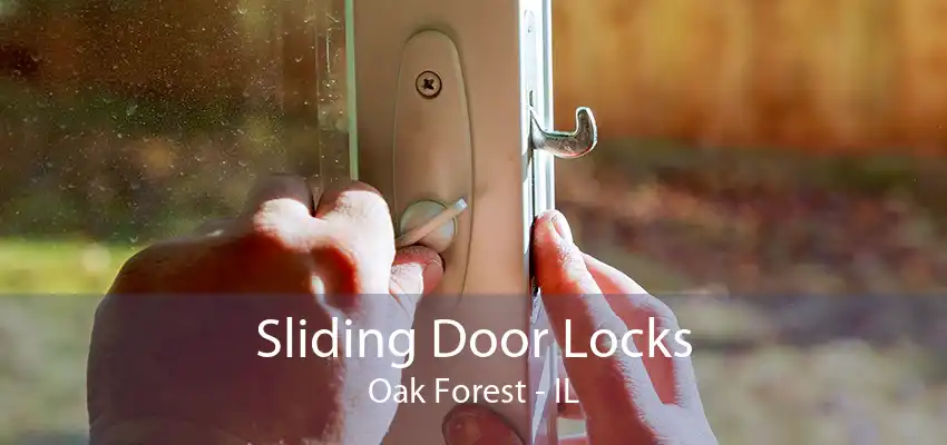 Sliding Door Locks Oak Forest - IL