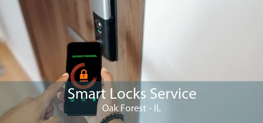 Smart Locks Service Oak Forest - IL