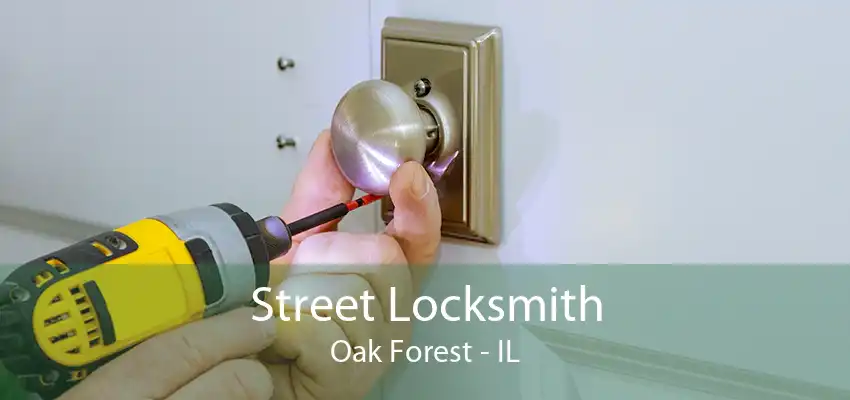 Street Locksmith Oak Forest - IL