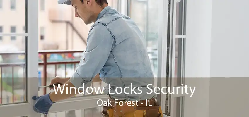 Window Locks Security Oak Forest - IL